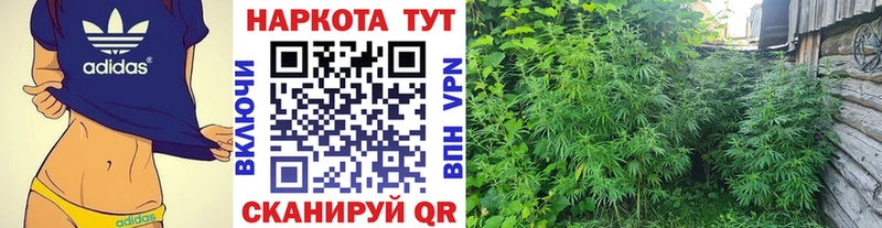 Что такое Бирюсинск APVP  Кокаин  Псилоцибиновые грибы  Каннабис  Гашиш  Меф мяу мяу 
