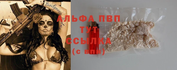 PSILOCYBIN Баксан