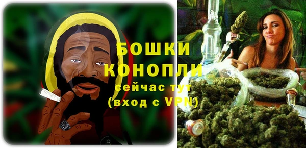 PSILOCYBIN Баксан